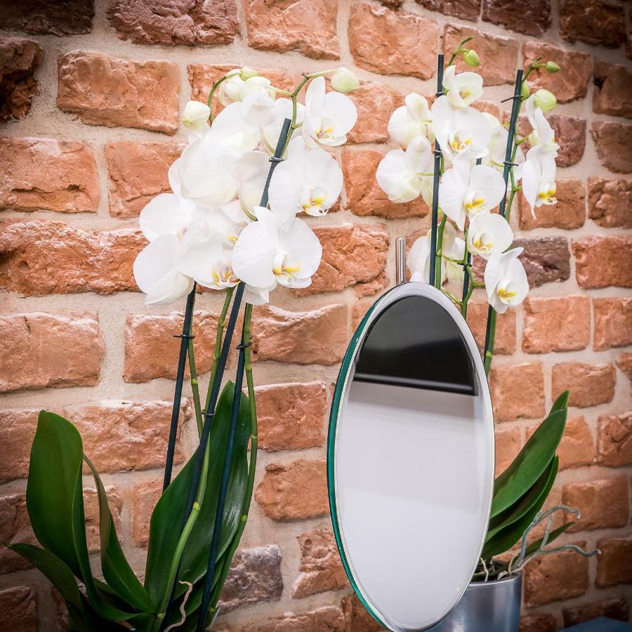 Apartamenty "Artaparts" Stare Miasto - Centrum Stary Toruń Kültér fotó